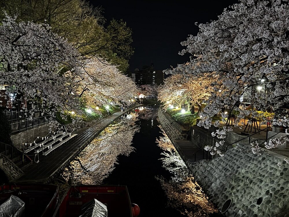 今、家づくりを先延ばしにできない本当の理由